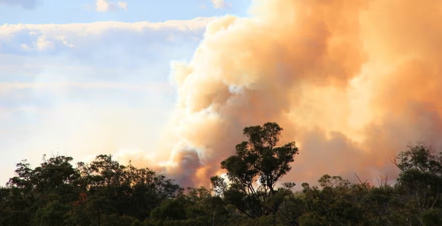 Smoke billows from a bushfire in the distance, highlighting the severity of the wildfire's impact on the environment.